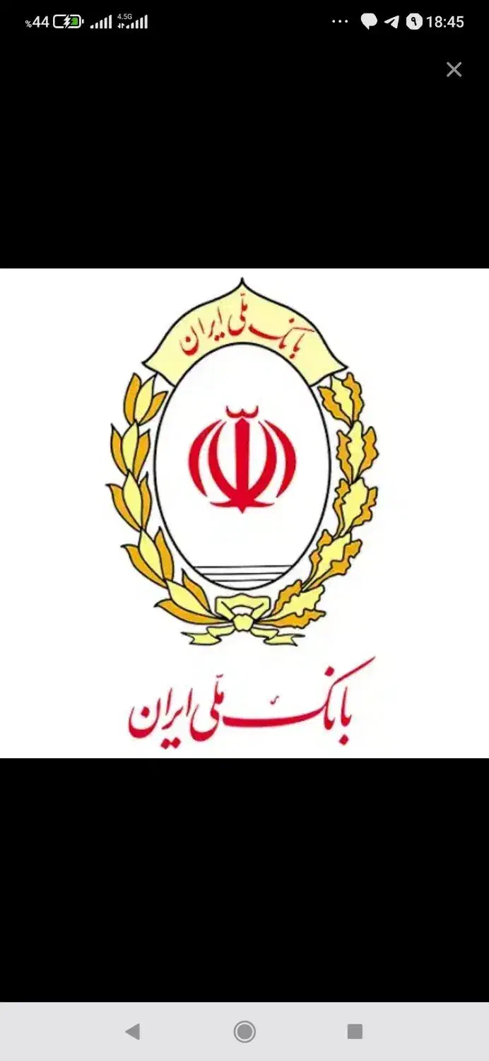 یک ضامن رتبه Aمیخام۱۰ملیون پول نقد میدم شرینی میدم|خدمات مالی، حسابداری، بیمه|زرند, |دیوار