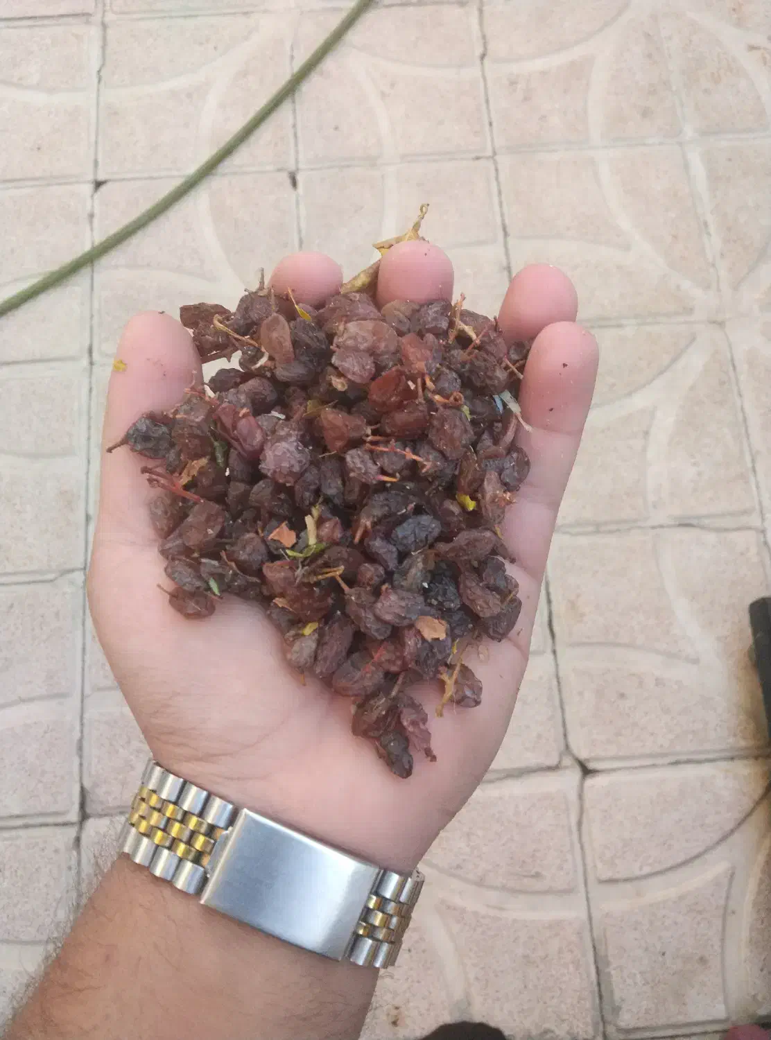 کشمش ضایعات شیره ای درجه یک|خوردنی و آشامیدنی|مشگین شهر, |دیوار