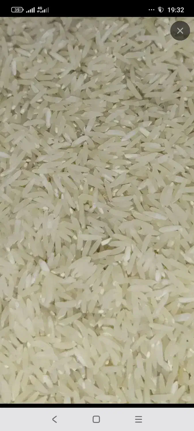 برنج عنبربو|خوردنی و آشامیدنی|قصرشیرین, |دیوار