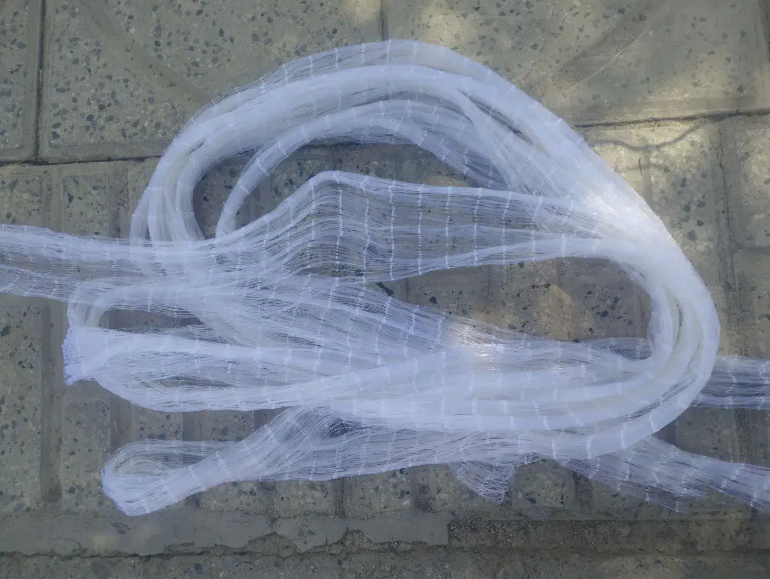 تور ماهیگیری|ماهیگیری|حمیل, |دیوار