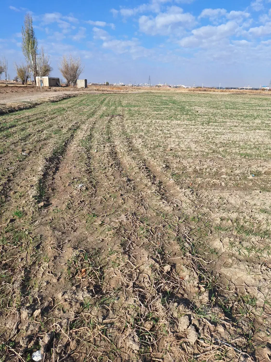 شریک برای احداث گلخانه|مشارکت در ساخت املاک|همدان, |دیوار