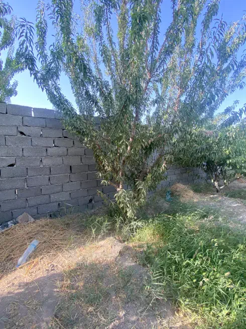 ۲۲۰ متر چهار دیوار با درخت ۱۰ ساله|فروش دفتر صنعتی، کشاورزی، تجاری|بهارستان, |دیوار