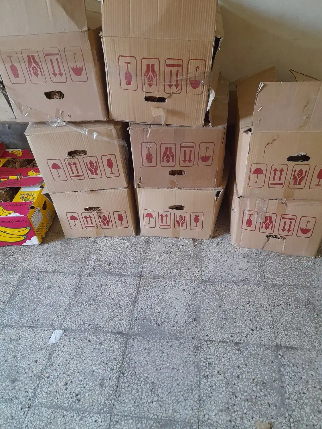 برگ خشک|کلکسیون و سرگرمی|بندر گناوه, |دیوار