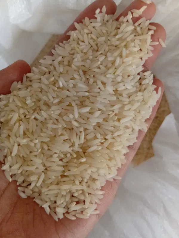 برنج|خوردنی و آشامیدنی|گمیشان, |دیوار
