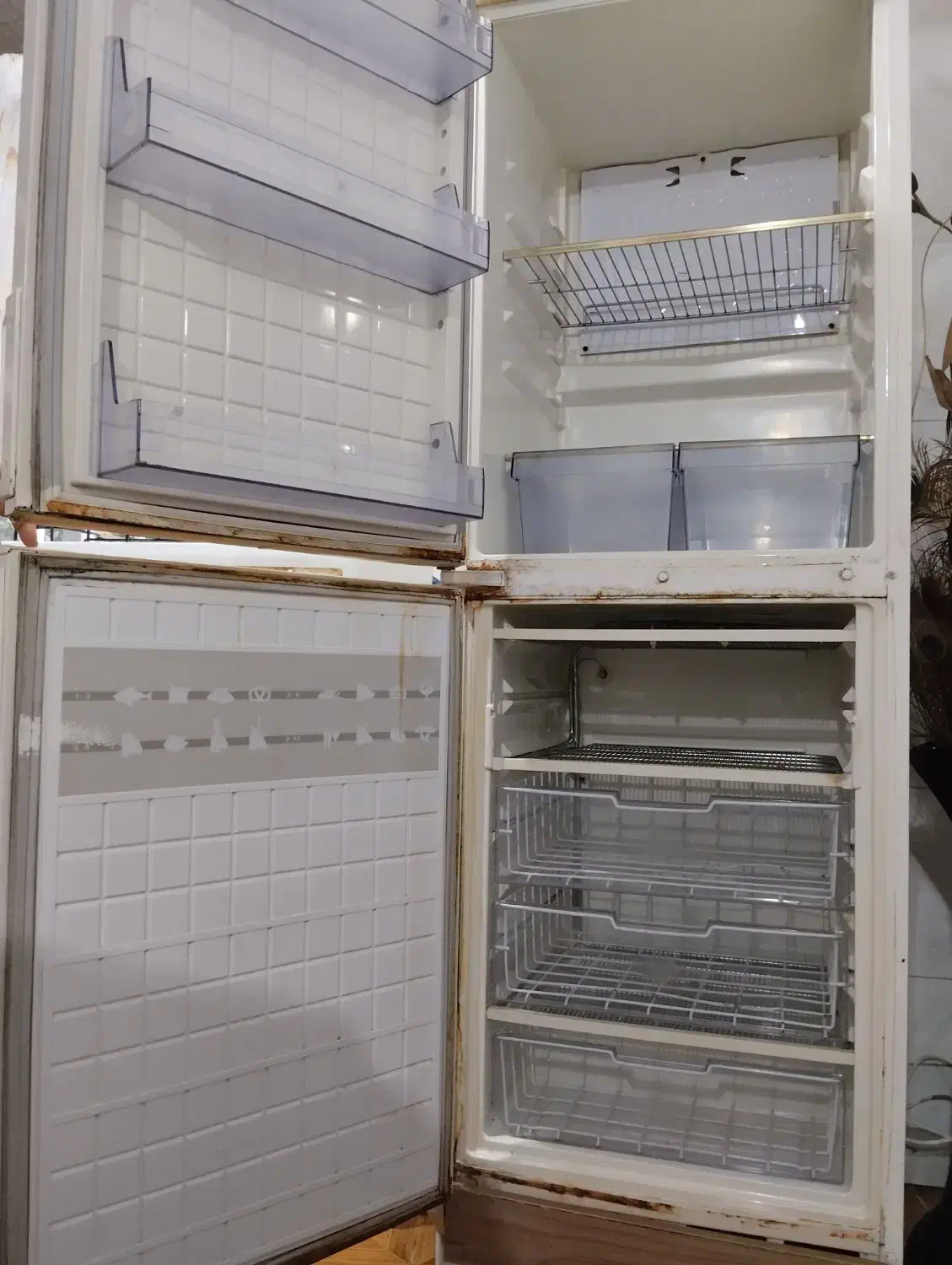 یخچال و فریزر|یخچال و فریزر|رامسر, |دیوار