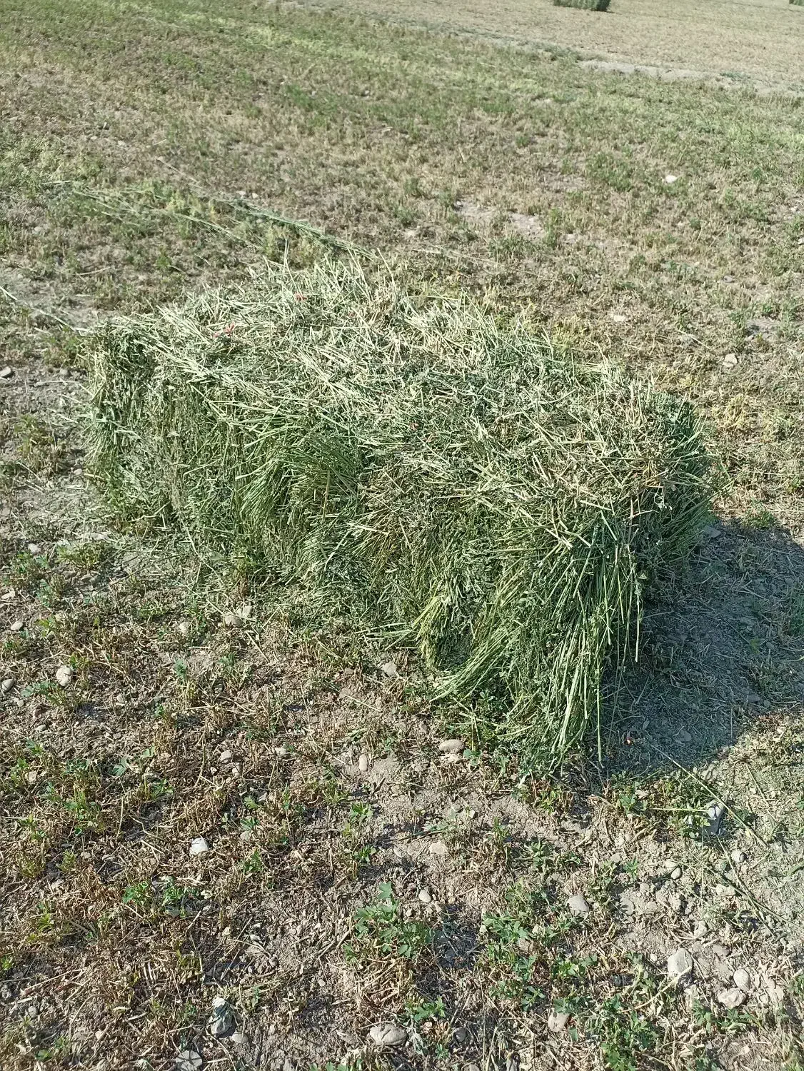 پرس یونجه|لوازم جانبی حیوانات|گلپایگان, |دیوار