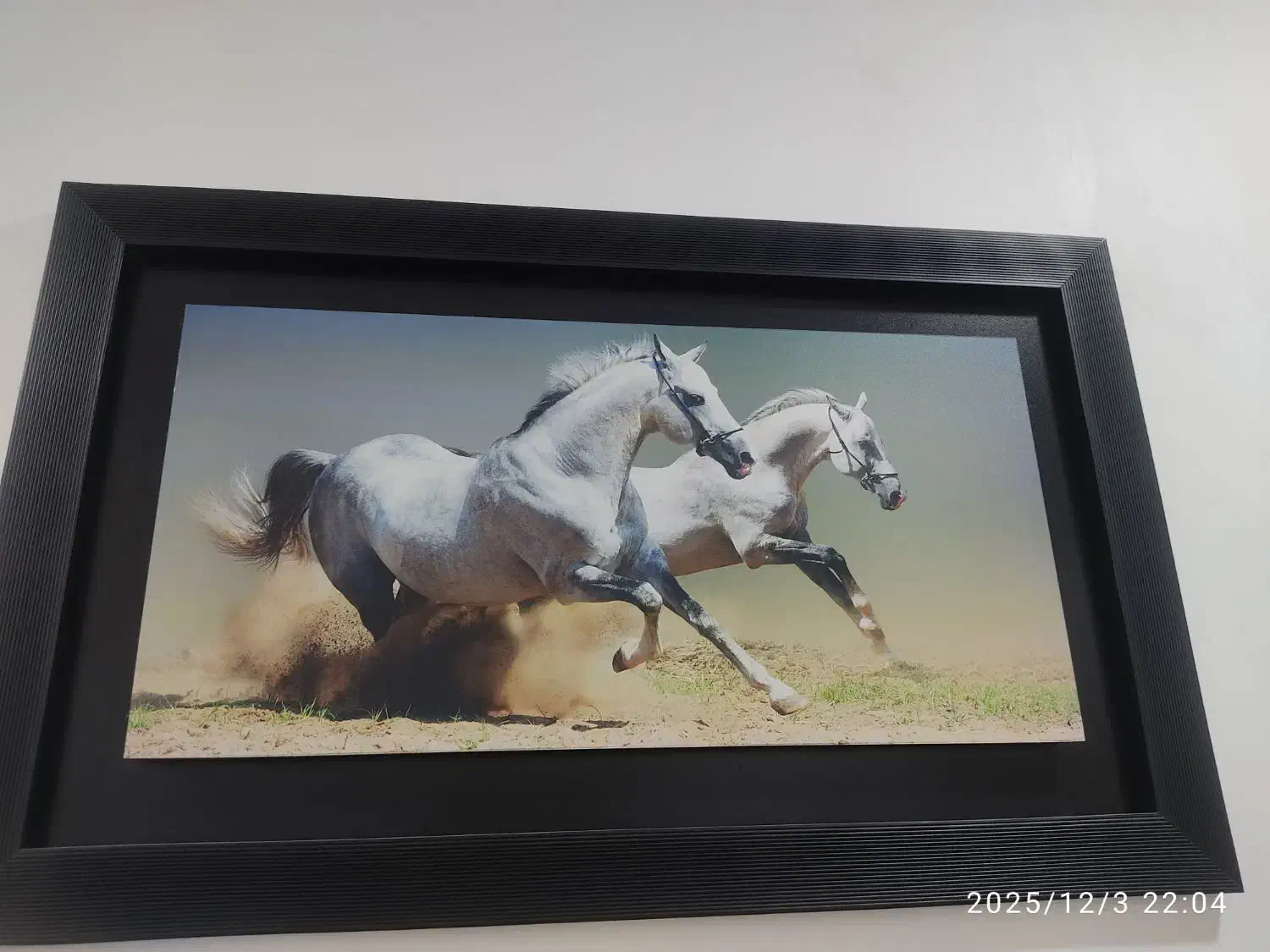 تابلو|تابلو، نقاشی، عکس|سیرجان, |دیوار