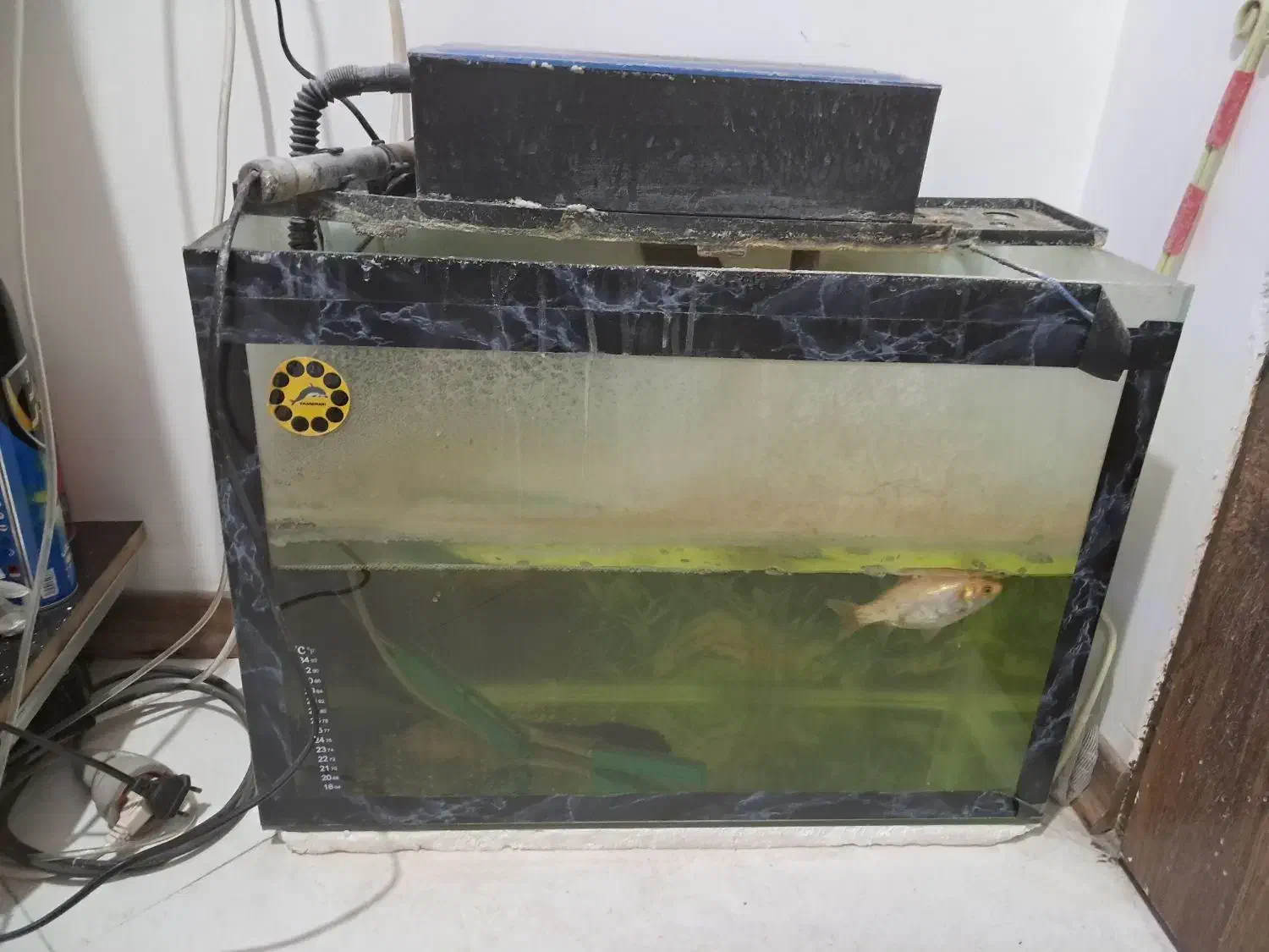 فروش 3 عدد آکواریم به علت جا به جایی|لوازم جانبی حیوانات|مشهد, ادیب نیشابوری (شهرک غرب)|دیوار