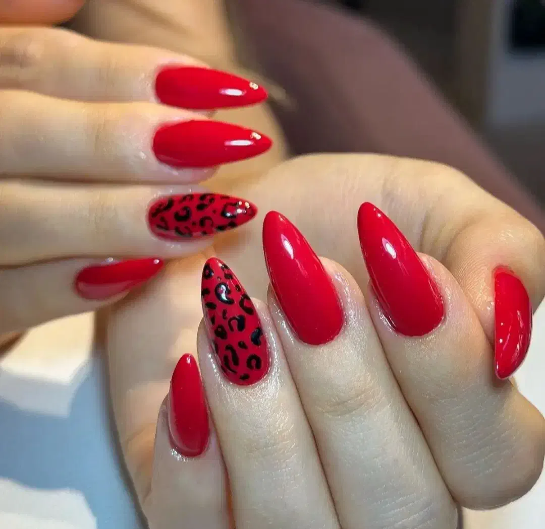 کاشت ناخن با لاک ژل 200 برای مدت محدود|خدمات آرایشگری و زیبایی|فردیس, فردیس|دیوار