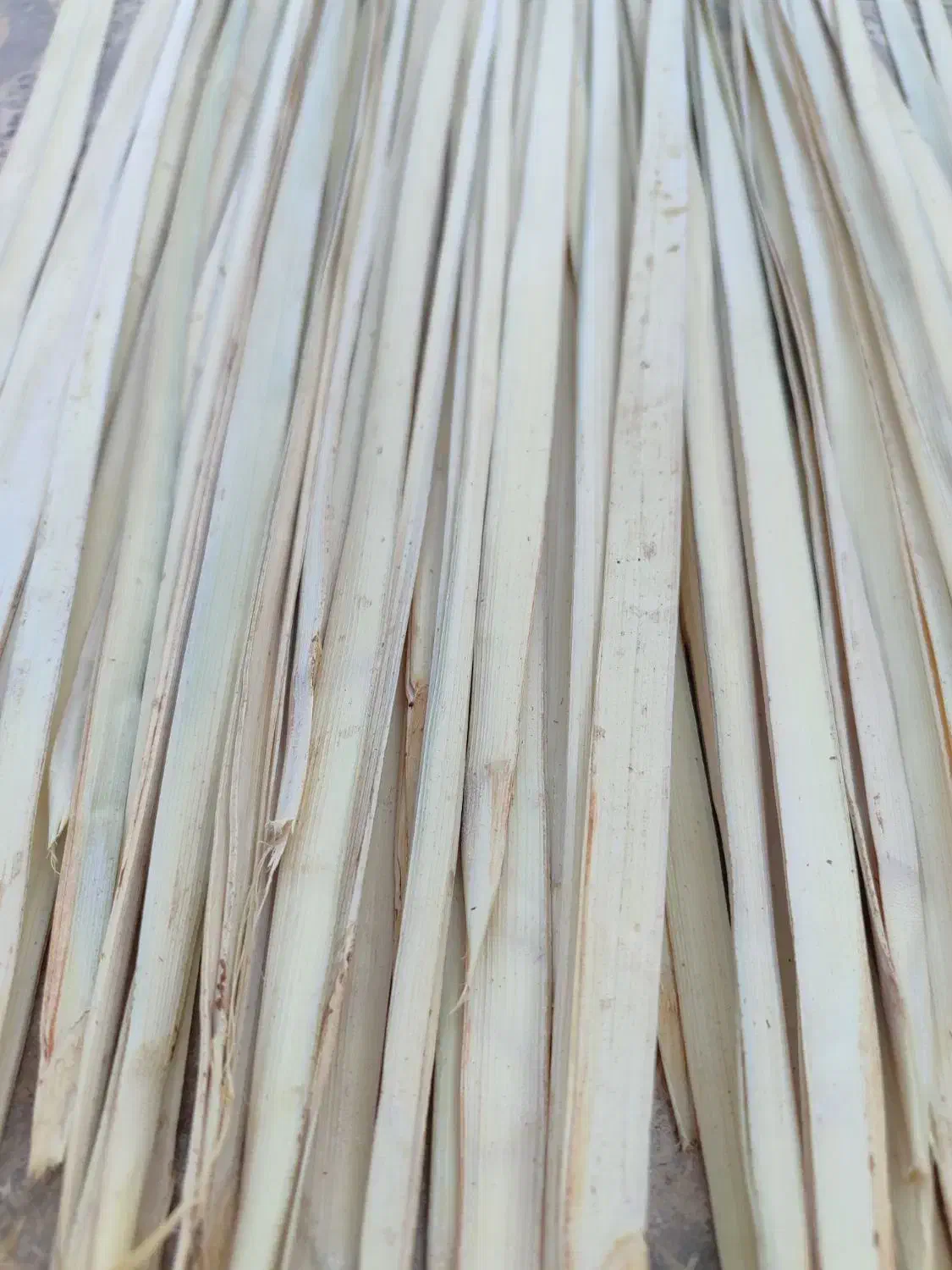 پیش دل|عمده‌فروشی|آبپخش, |دیوار