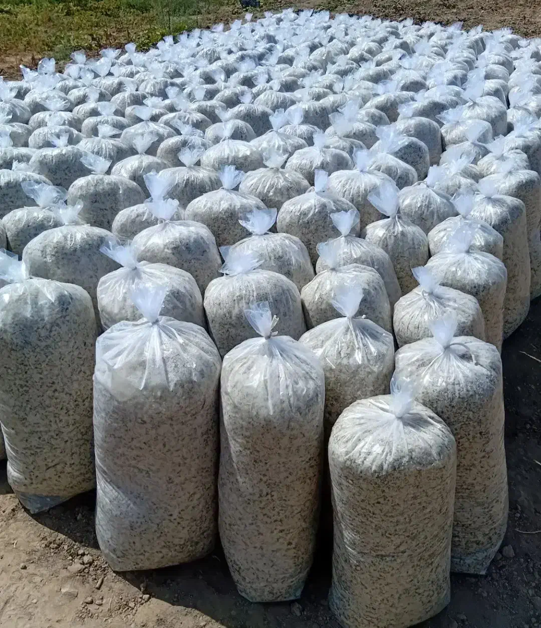 تفاله چغندر و ذرت علوفه دان دار|لوازم جانبی حیوانات|بیلوار, |دیوار