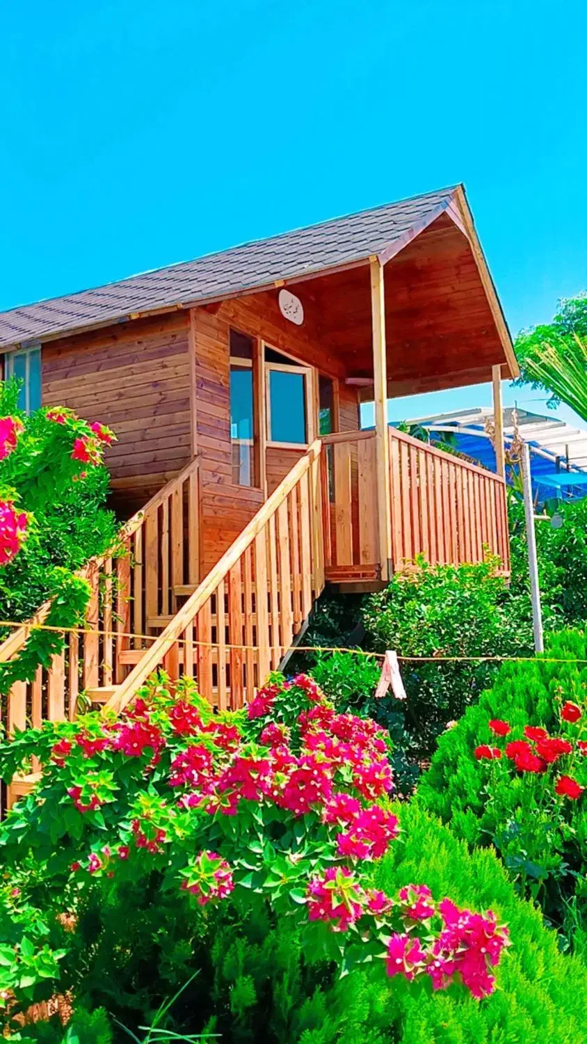 ساخت کلبه چوبی وخدمات نجاری|خدمات پیشه و مهارت|دزفول, |دیوار