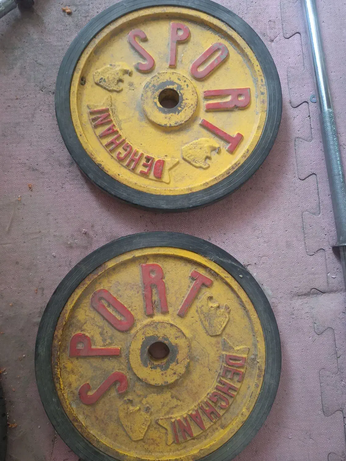 صفحه هالتر|تجهیزات ورزشی|مشهد, نوید|دیوار