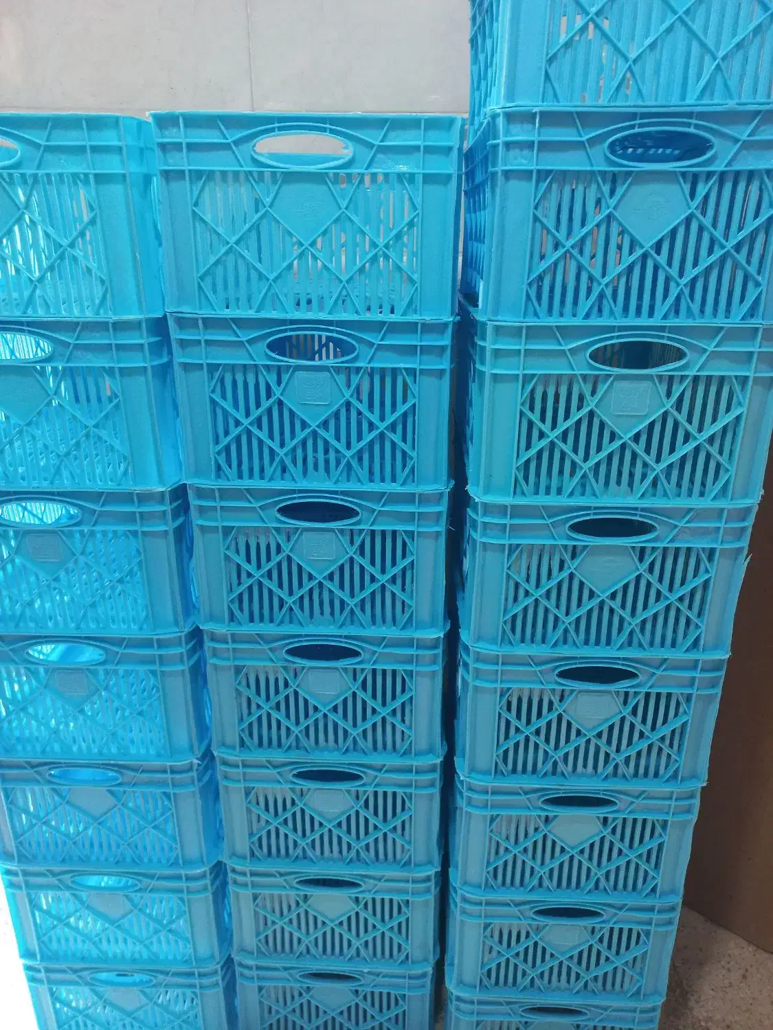 سبد مرغ|ظروف نگهدارنده، پلاستیکی، یک‌بارمصرف|رامند, |دیوار