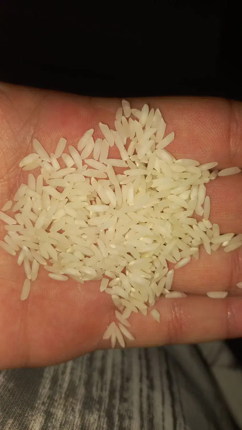 برنج(برنج طارم هاشمی )|خوردنی و آشامیدنی|بهشهر, |دیوار