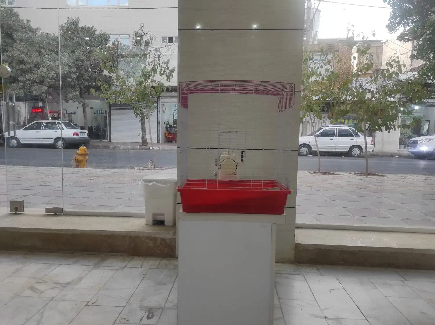 قفس پرند|لوازم جانبی حیوانات|سنندج, |دیوار