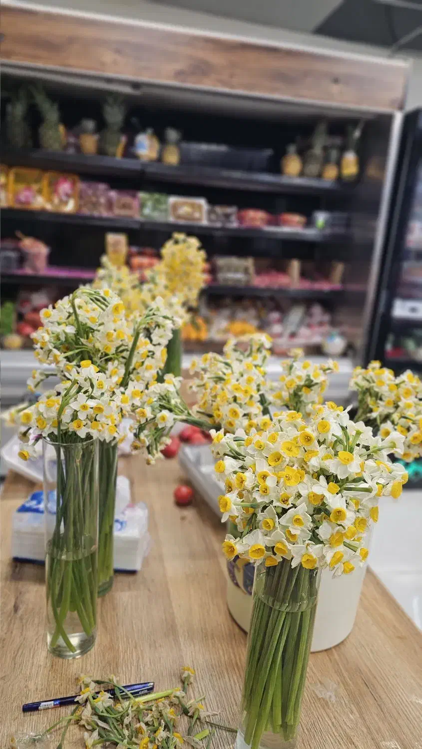 استخدام نیروی خانم و آقا برای مغازه|استخدام خدمات فروشگاه و رستوران|عسلویه, |دیوار