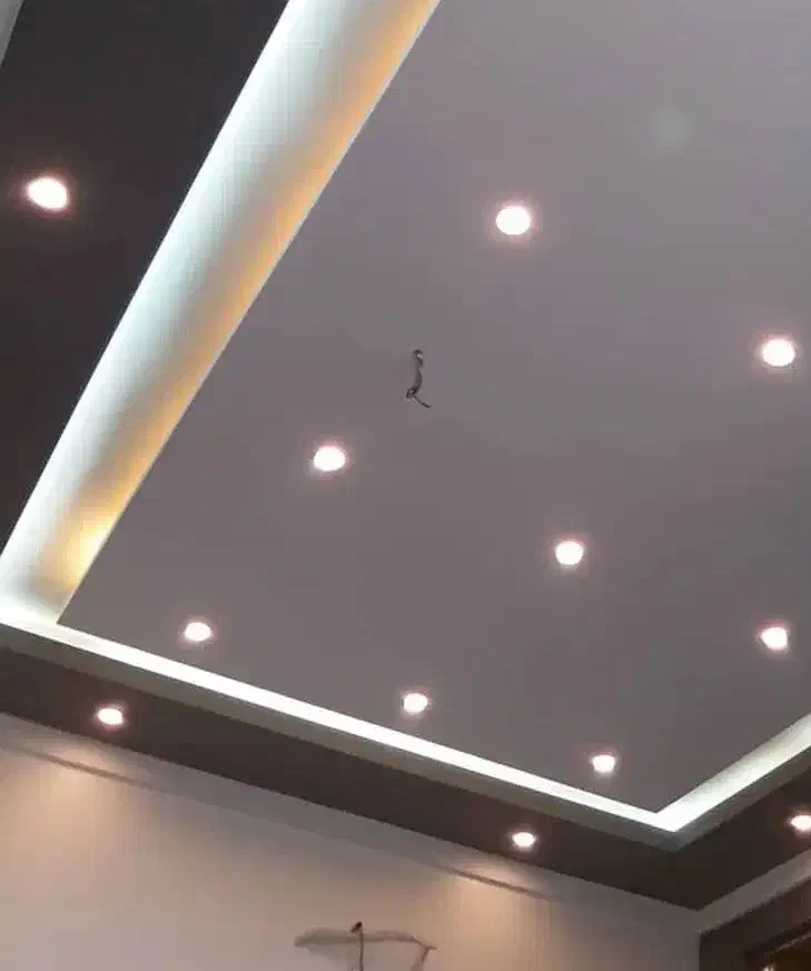 برقکاری ساختمان|خدمات پیشه و مهارت|رشت, گلسار|دیوار