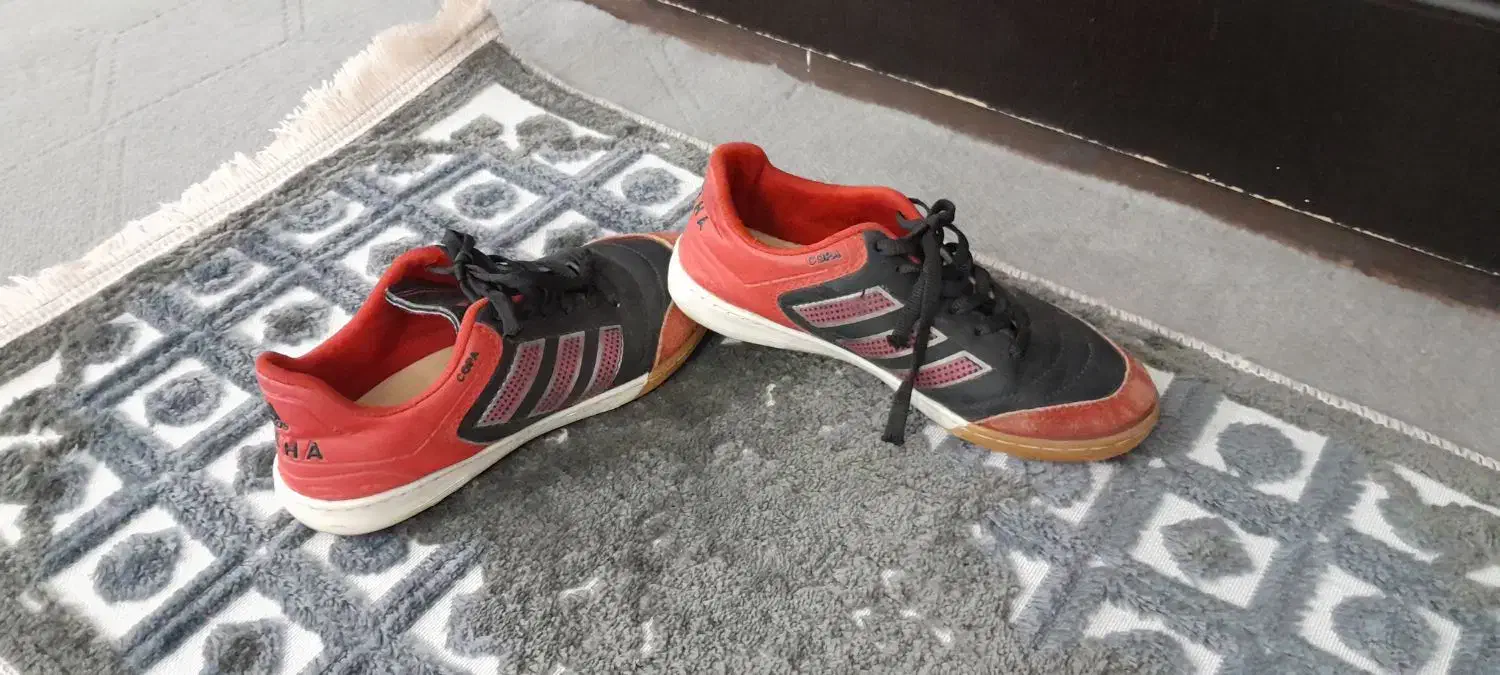 کفش سالن|کیف، کفش، کمربند|تربت جام, شهید غلام زاده|دیوار