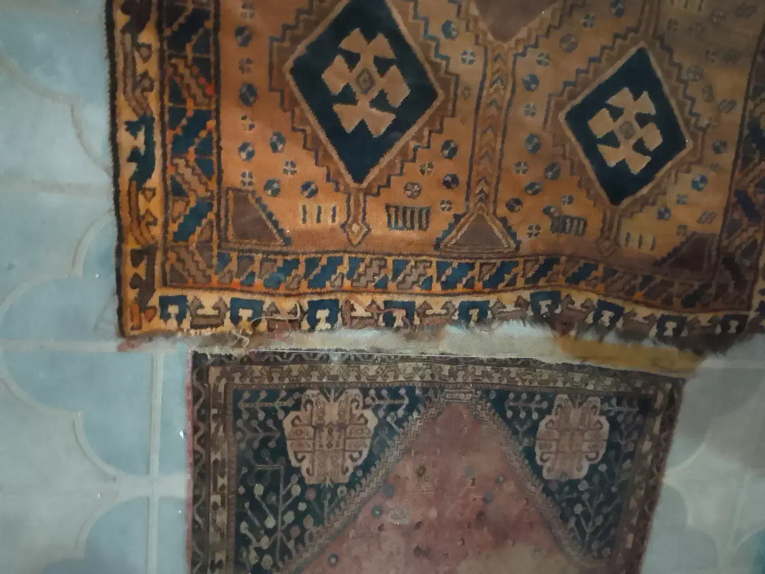 دوعدد فرش کهنه و قدیمی|فرش|شیراز, نصر|دیوار