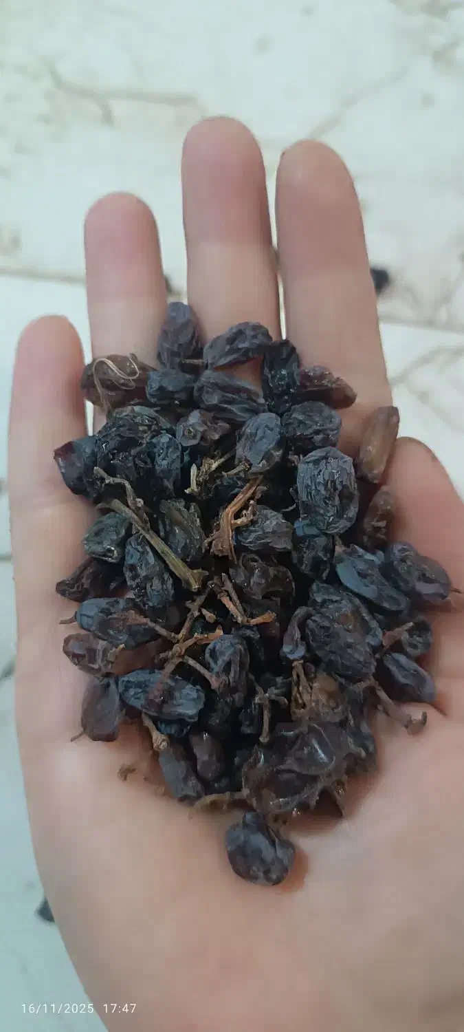 کشمش آفتابی بوانات|خوردنی و آشامیدنی|شیراز, مسکن مهر شیراز|دیوار