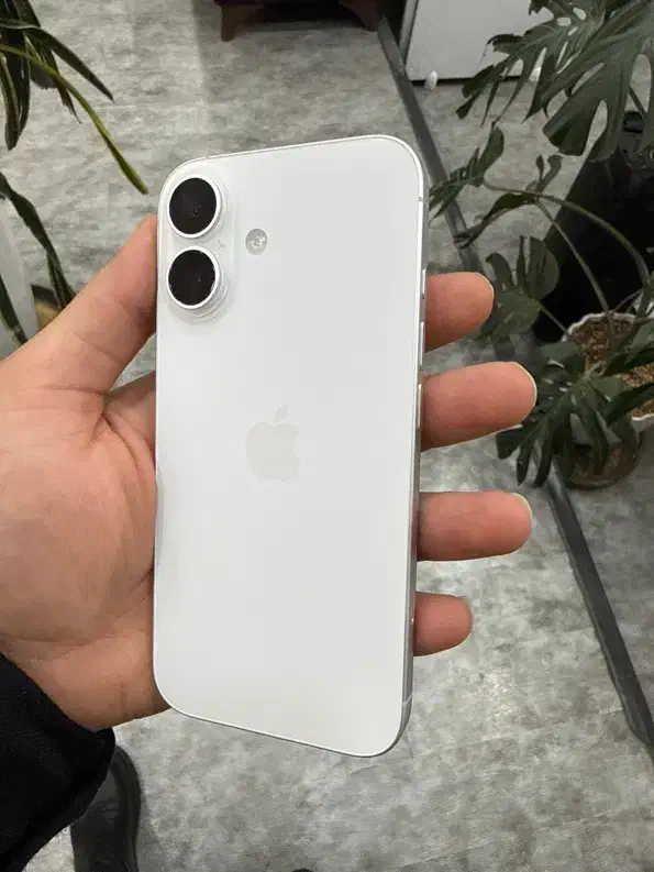 آیفون ۱۶ نرمال باتری ۹۹ رنگ سفید ۱۲۸ گیگ شرکتی|موبایل|شیراز, قالیشویی|دیوار