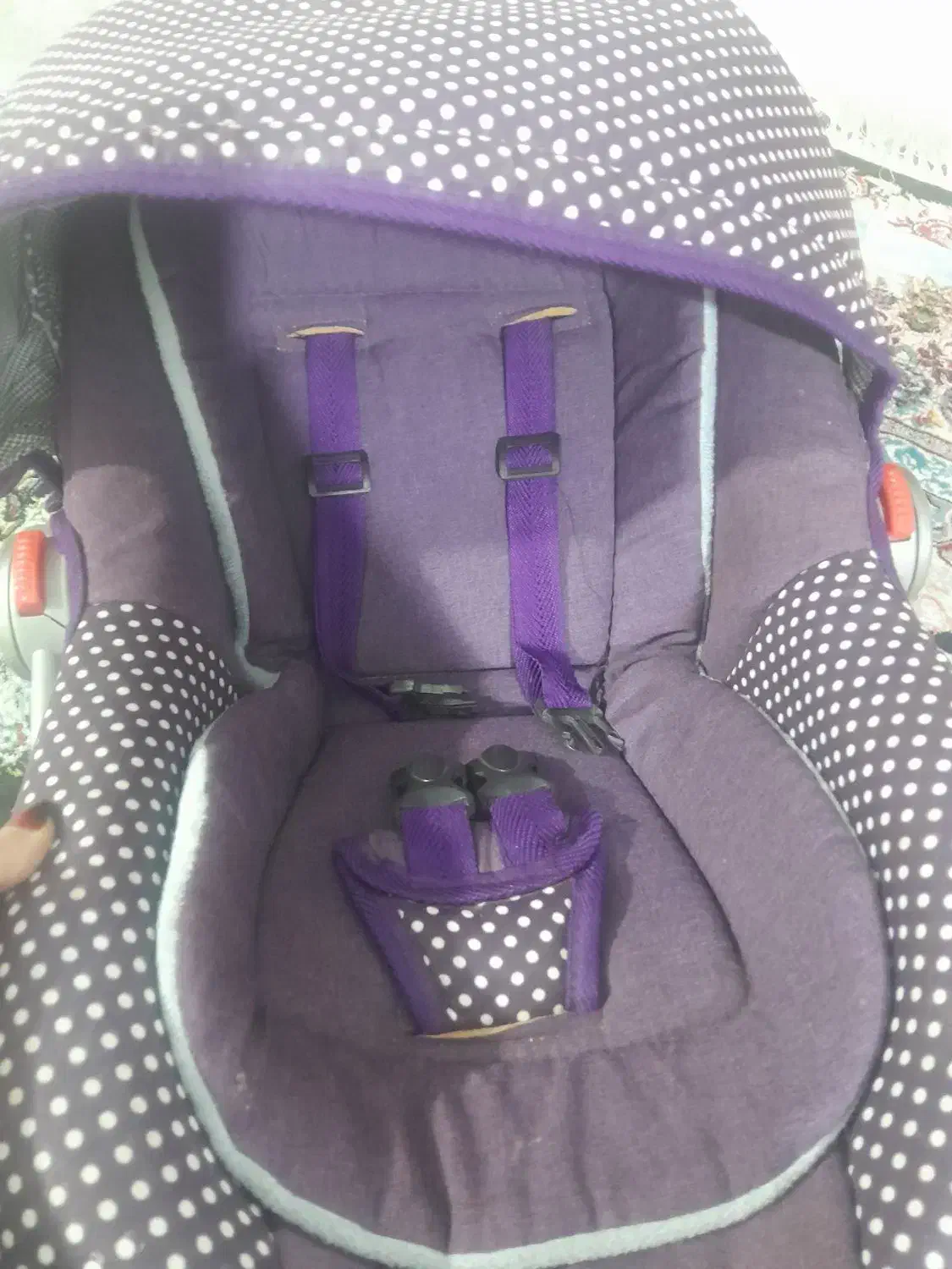 فروش کریر نوزادی|تخت و صندلی بچه|صدرا-فارس, فاز ۱|دیوار