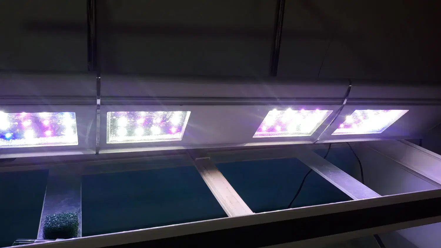 اکواریوم ۱۲۰ ماهیران|ماهی|کرج, باغستان|دیوار