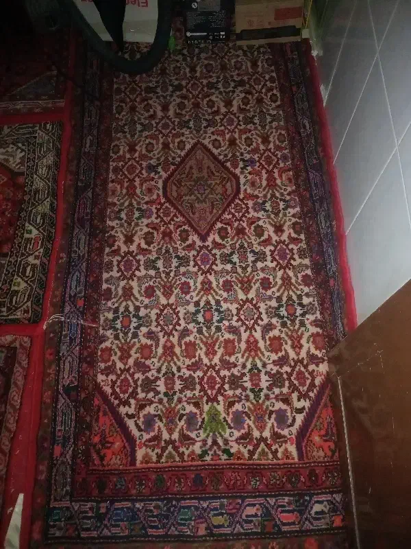 قالی|فرش|بهار, |دیوار