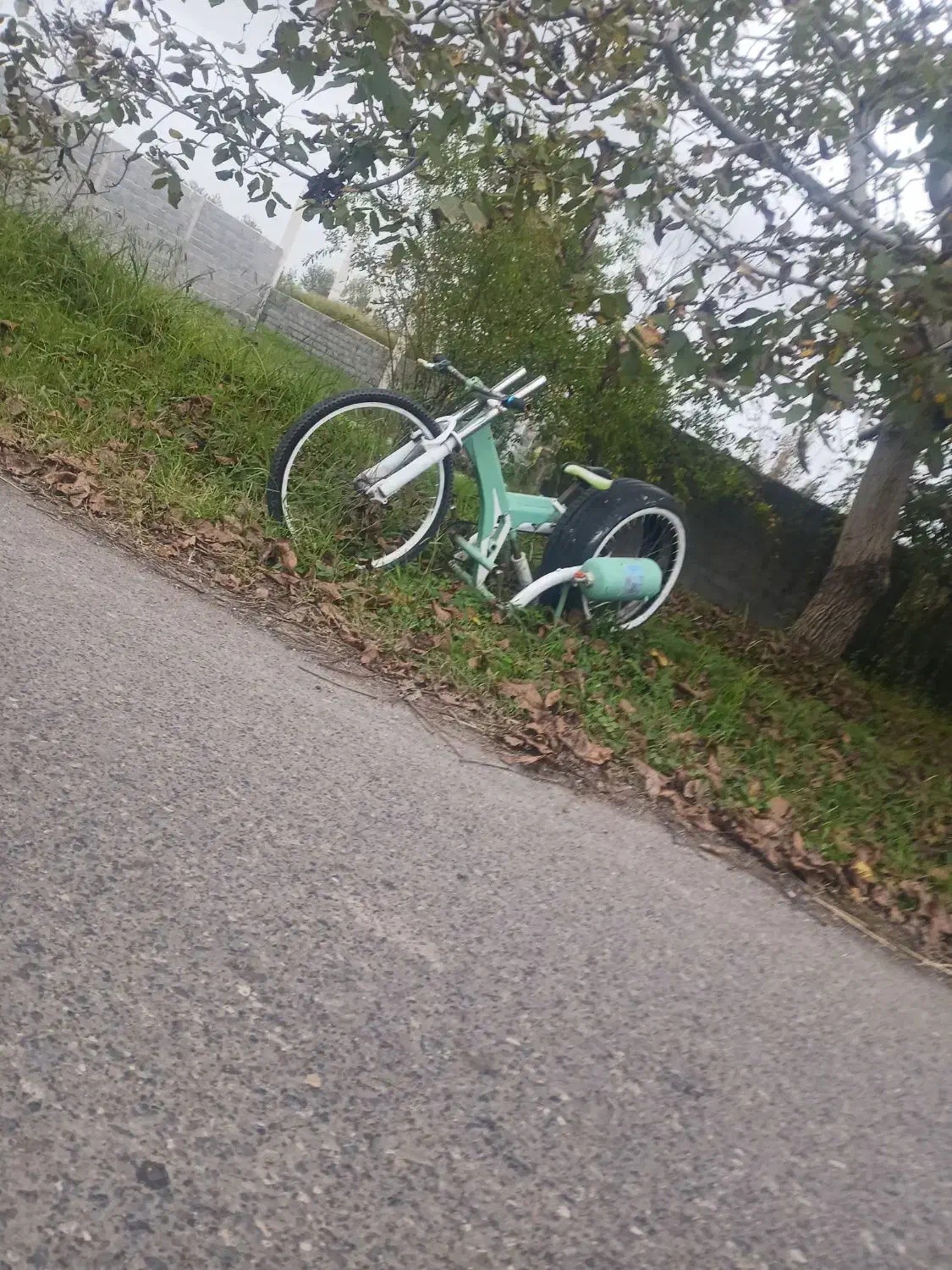 دوچرخه لاستیک پهن|دوچرخه، اسکیت، اسکوتر|سنگر, |دیوار