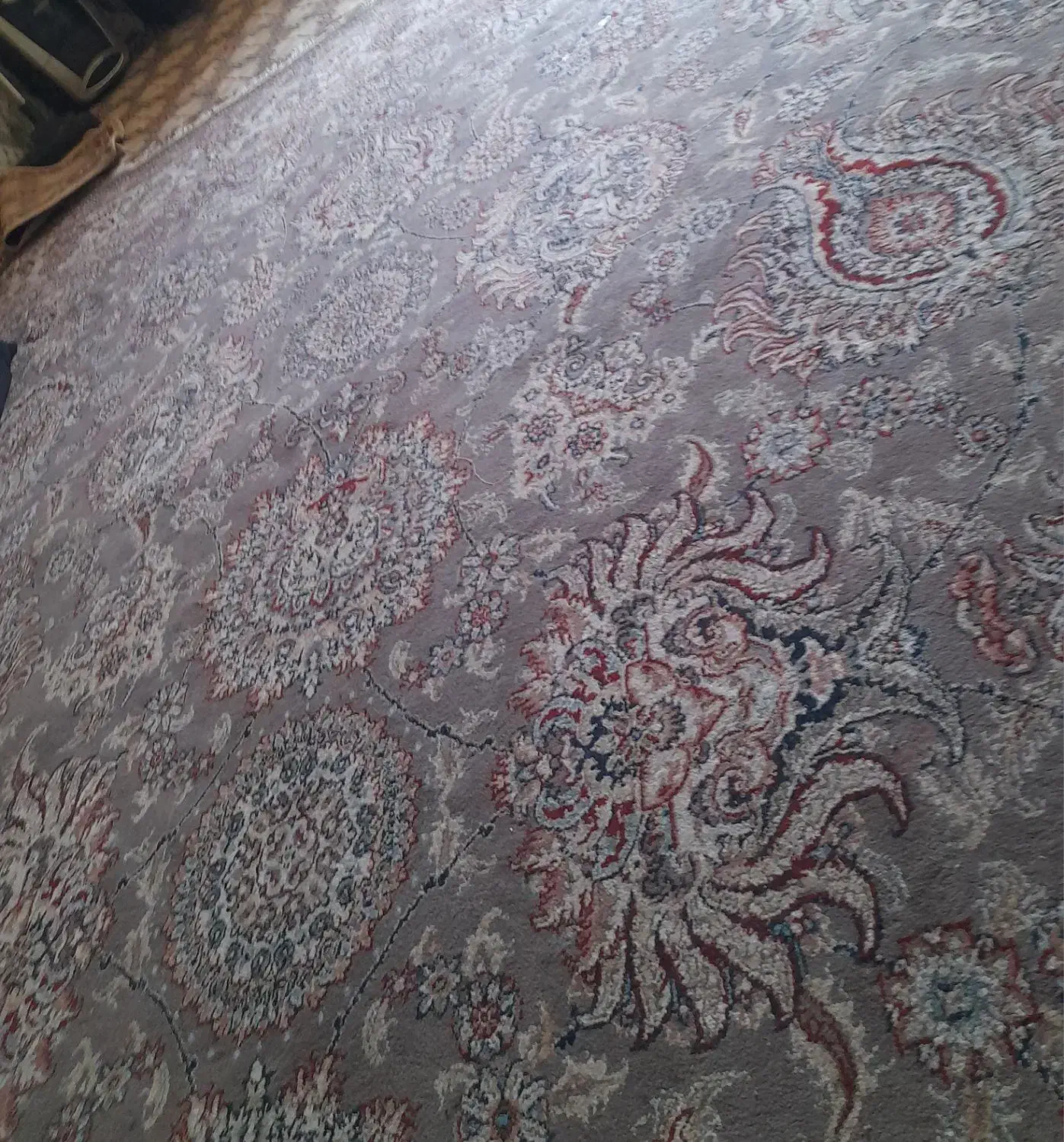 یک عدد فرش ۱۲متری به فروش میرسد|فرش|رضویه, |دیوار