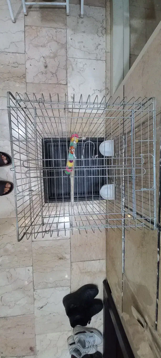 قفس پرنده استیل|لوازم جانبی حیوانات|تهران, امام زاده عبدالله|دیوار