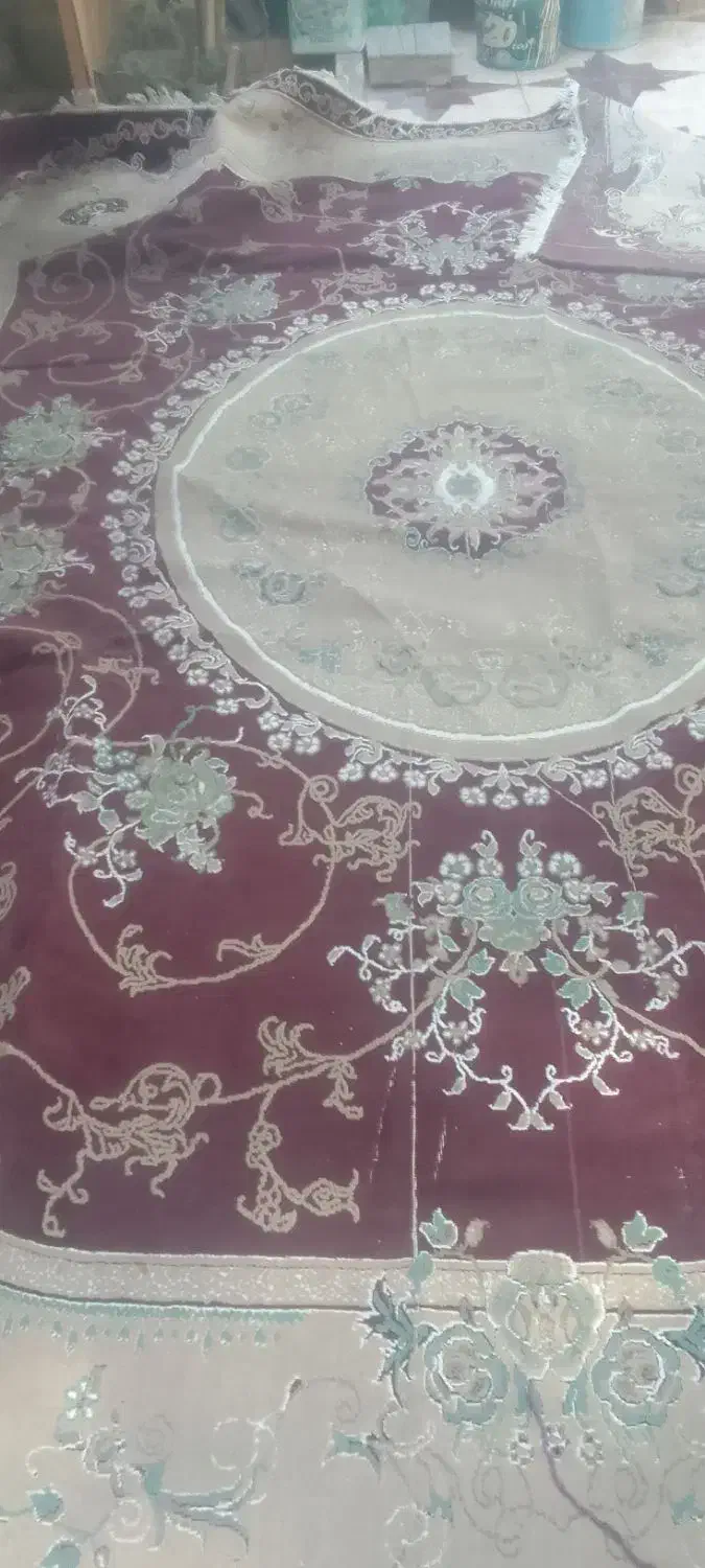 قالی12متری|فرش|بندر گناوه, |دیوار