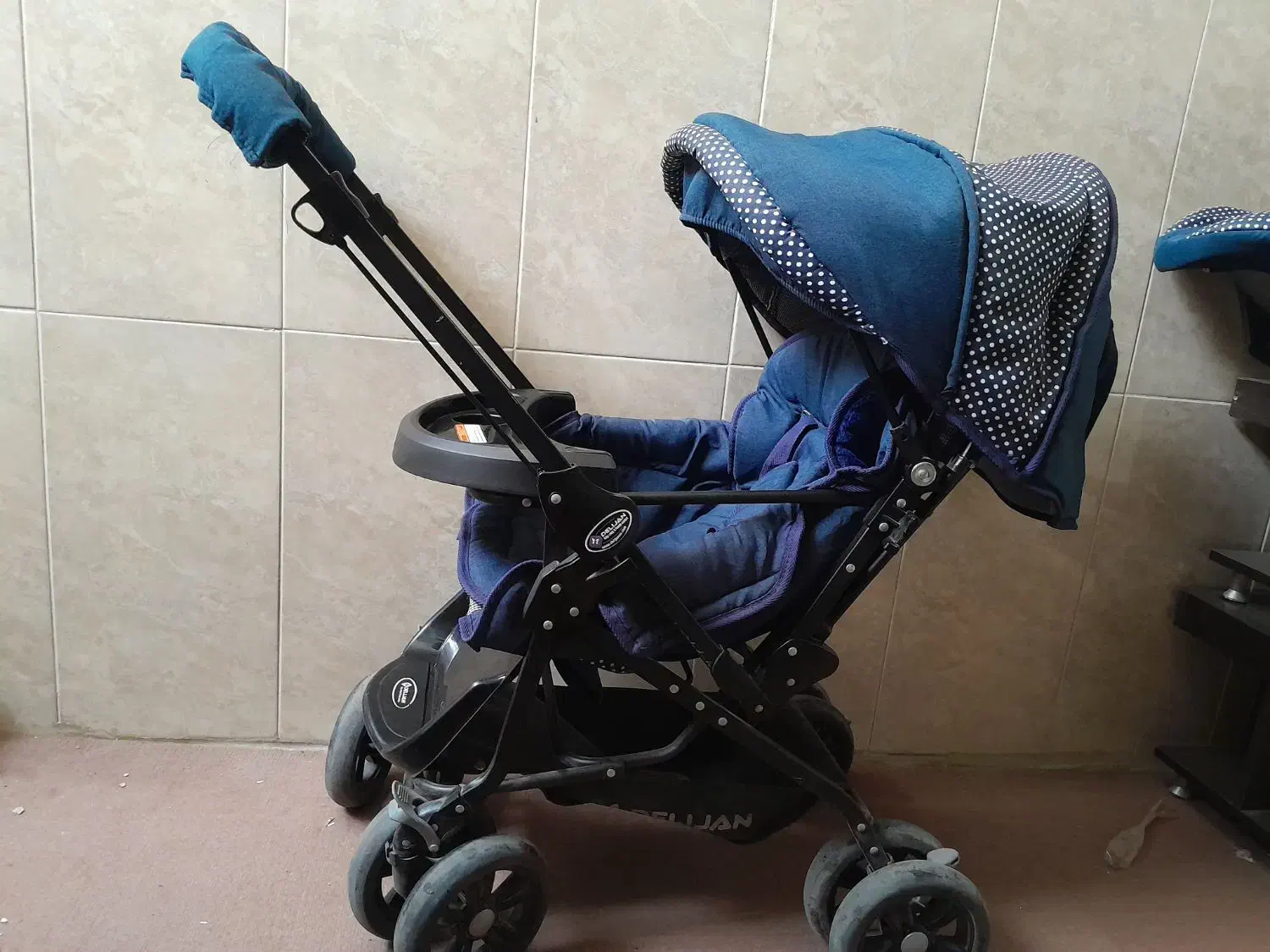 کالسکه و کریر دلیجان|کالسکه و لوازم جانبی|همدان, |دیوار