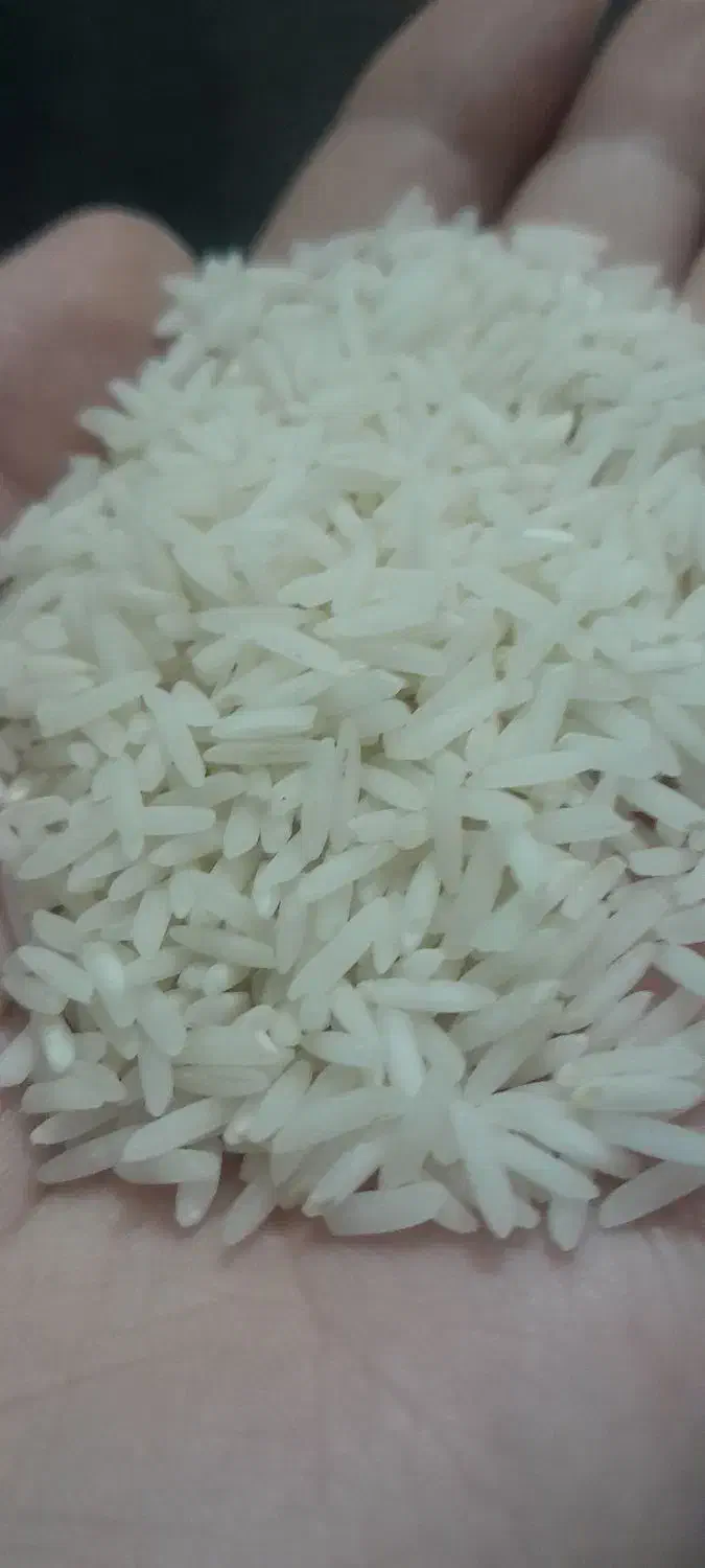 برنج هاشمی سورتینگ شده گیلان|خوردنی و آشامیدنی|قزوین, |دیوار