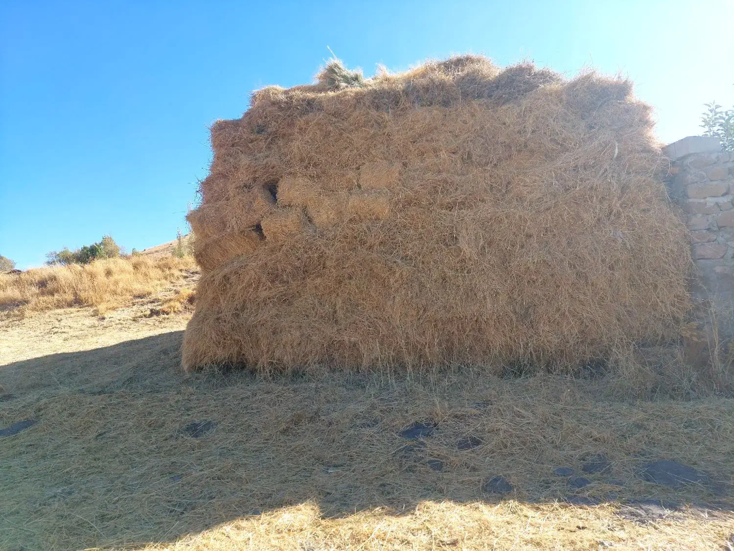 علف فروشی|لوازم جانبی حیوانات|فیروز, |دیوار