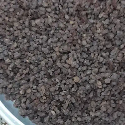 کشمش آفتابی تاکستان|خوردنی و آشامیدنی|تهران, فلاح|دیوار