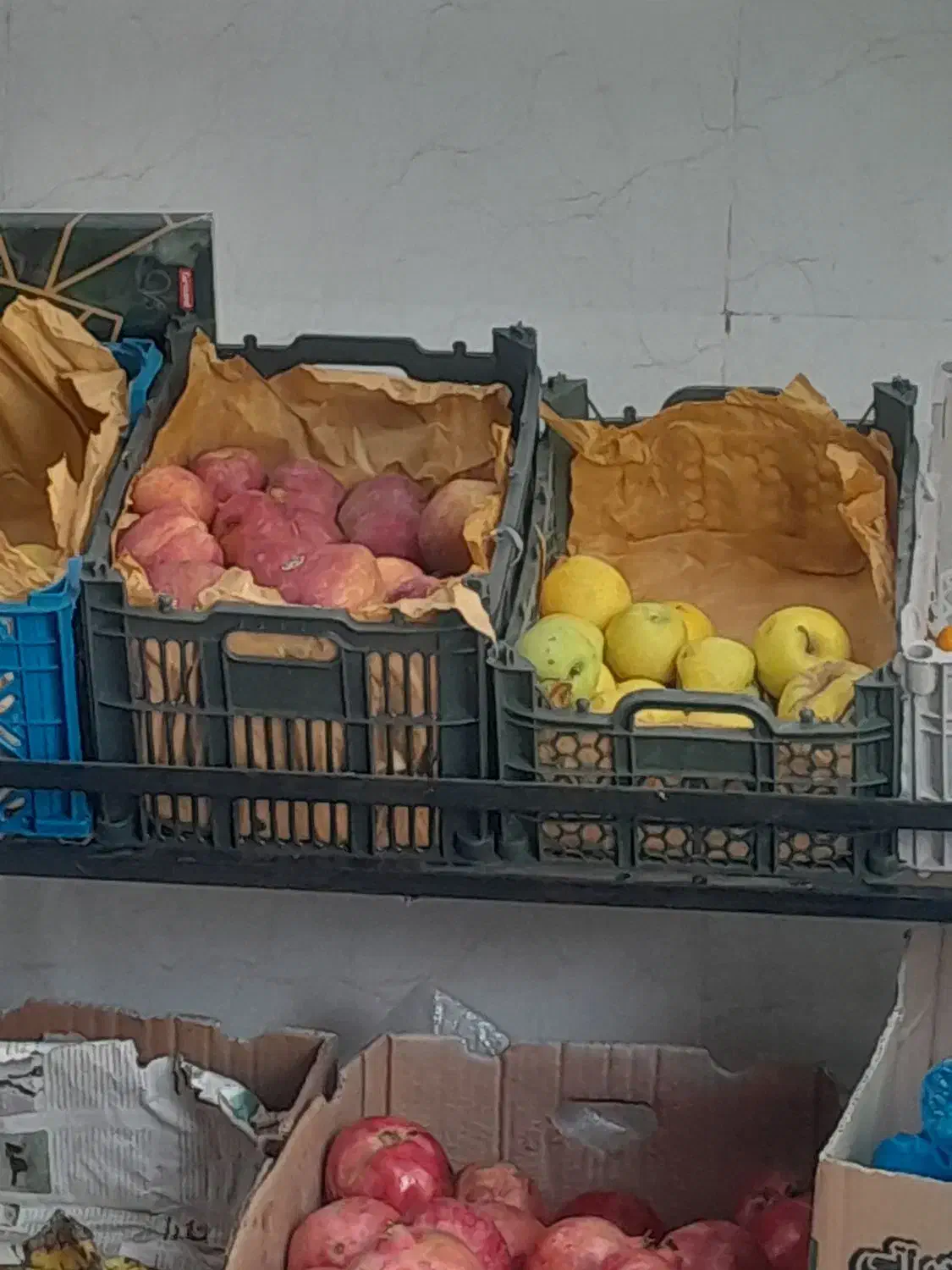 سبد میوه|ظروف نگهدارنده، پلاستیکی، یکبارمصرف|جیرفت, |دیوار