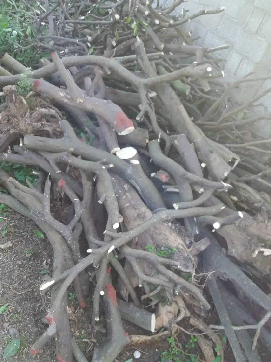 یک کامیون پر|خودرو سنگین|چابکسر, |دیوار