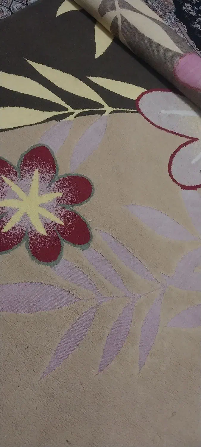 فرش گلیم وکناره|فرش|دزفول, |دیوار