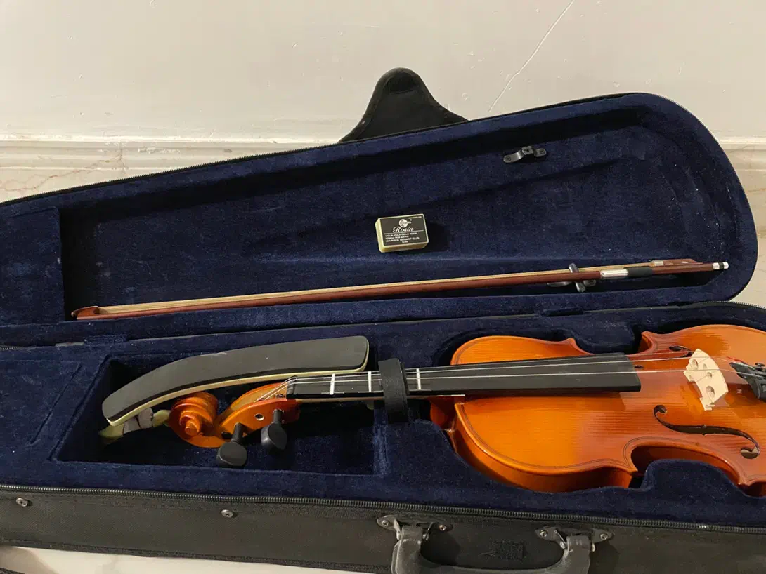 ویولن|ویولن|اصفهان, سرچشمه|دیوار