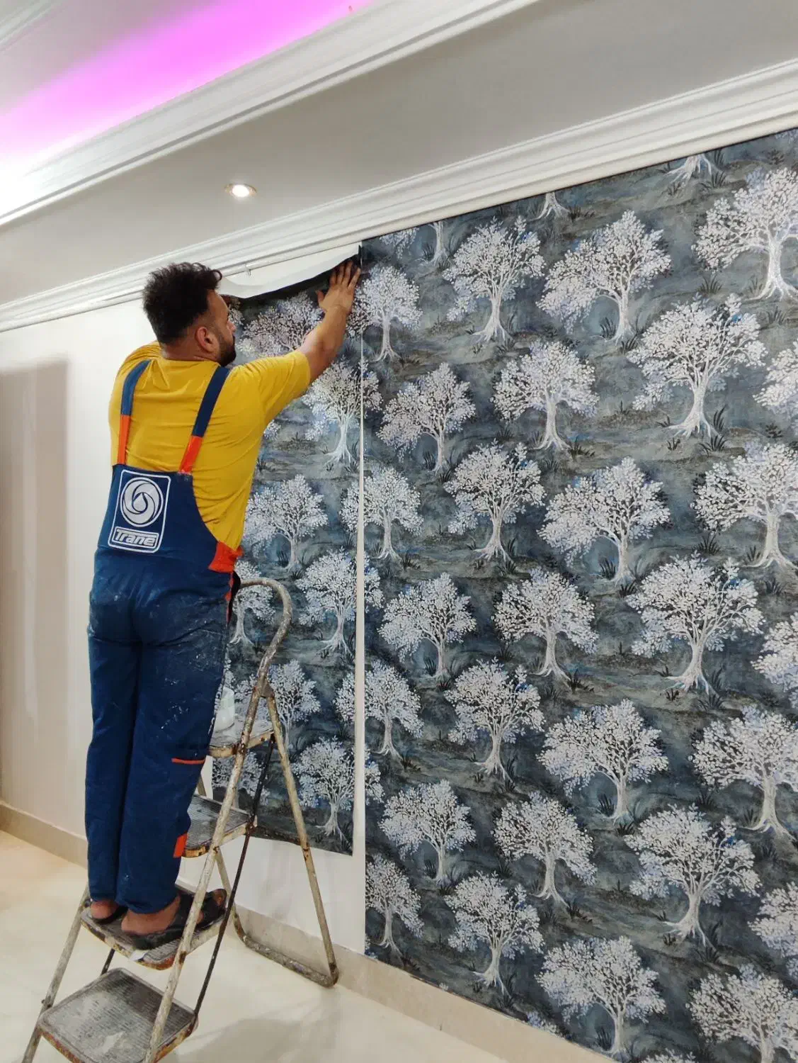 نصب کاغذ100 پوستر.کاغذ رولی 100 تومن.|خدمات پیشه و مهارت|اهواز, کوی طلاب|دیوار