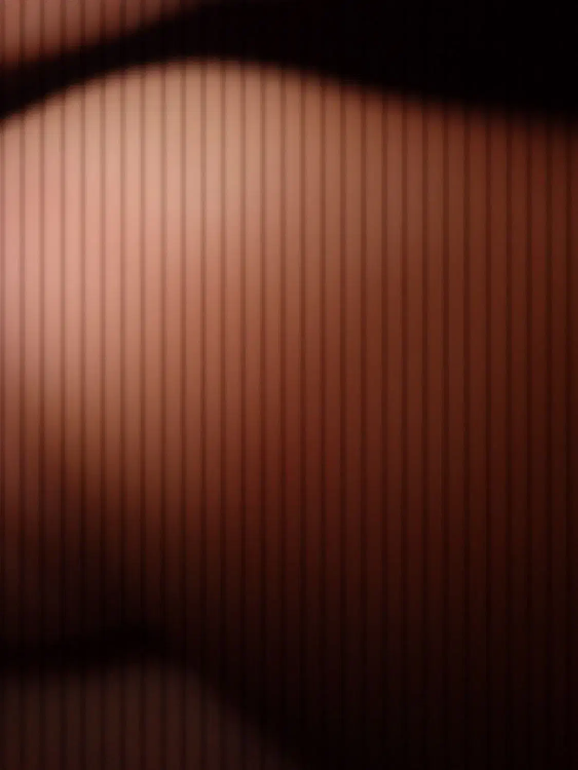 شناسنامه گم کردم یابنده اطلاع دهید ممنونم|اشیا|ابریشم, |دیوار