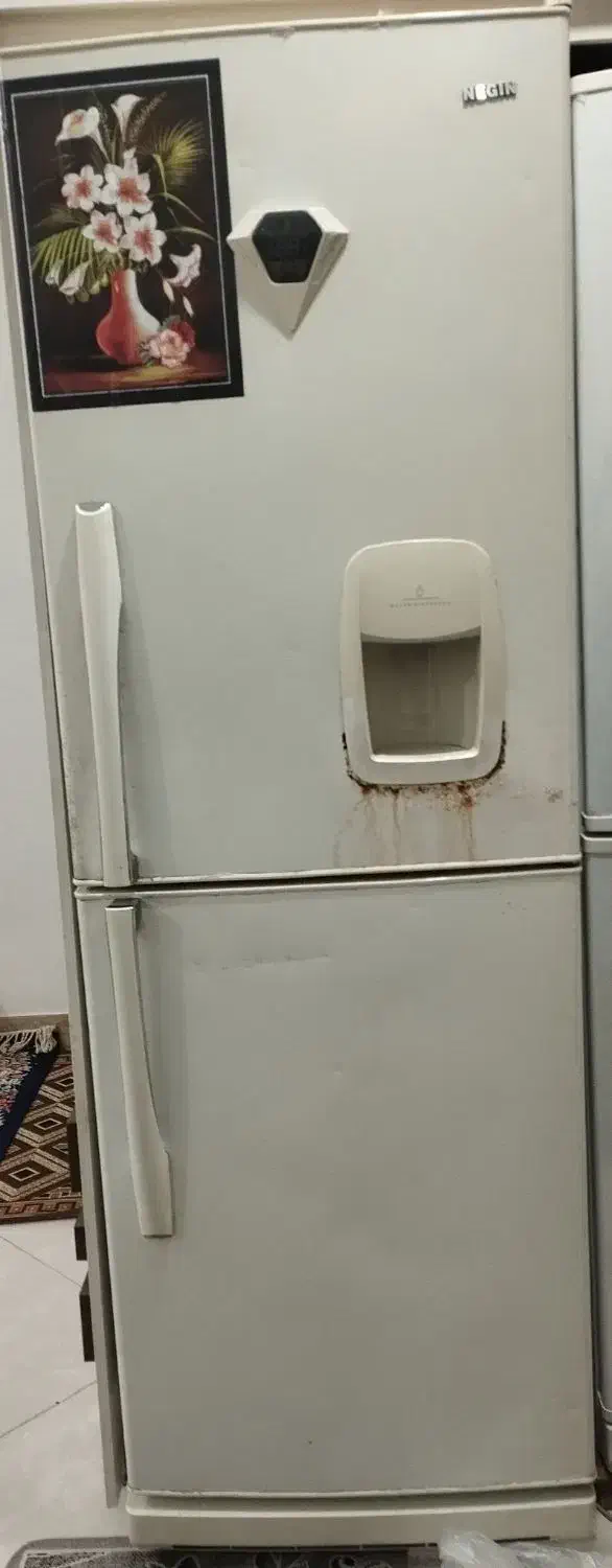 یخچال|یخچال و فریزر|کاشمر, |دیوار