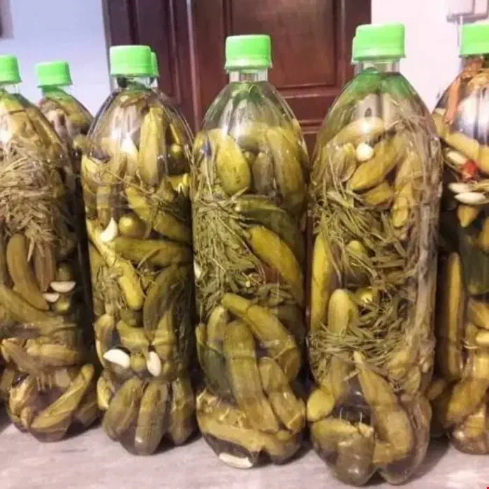 خیارشور . مزرعه شخصی|خوردنی و آشامیدنی|کرج, شهرک بنفشه|دیوار