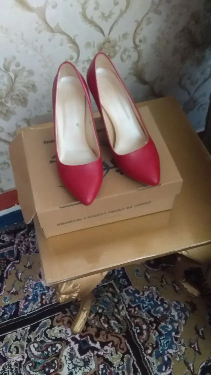 کیف وکفش|کیف، کفش، کمربند|مرند, |دیوار