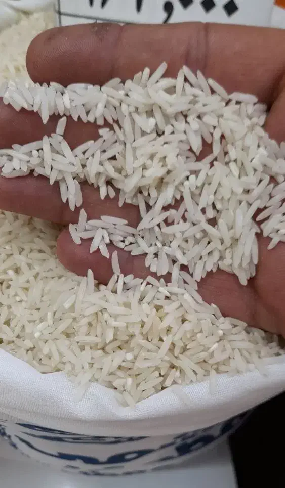 برنج ایرانی طارم هاشمی شیرودی معطر مطمئن|خوردنی و آشامیدنی|تبریز, |دیوار