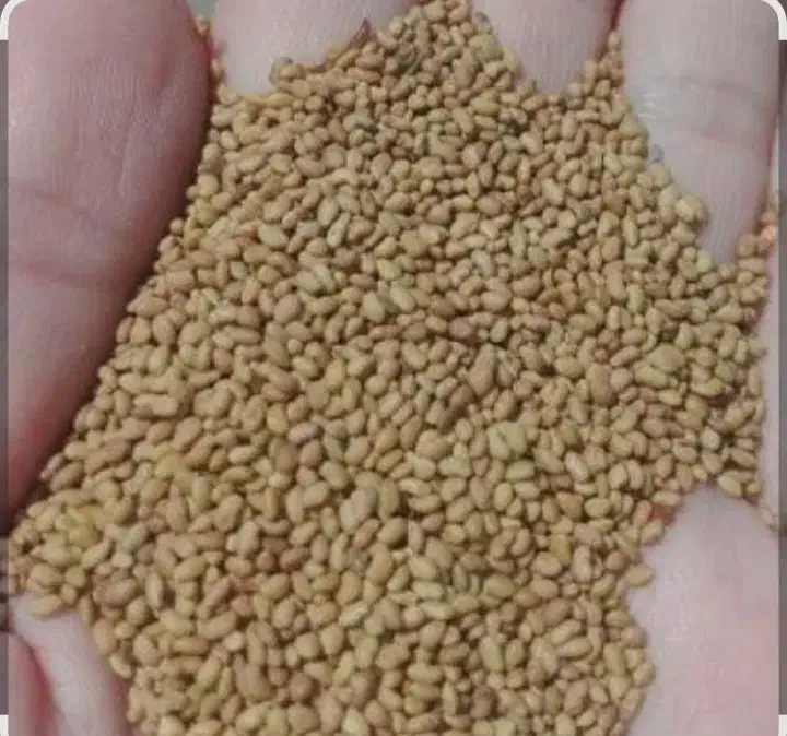 پایه بلندترین بذر اصلاح شده و پرتناژ|خدمات باغبانی و درختکاری|کازرون, |دیوار