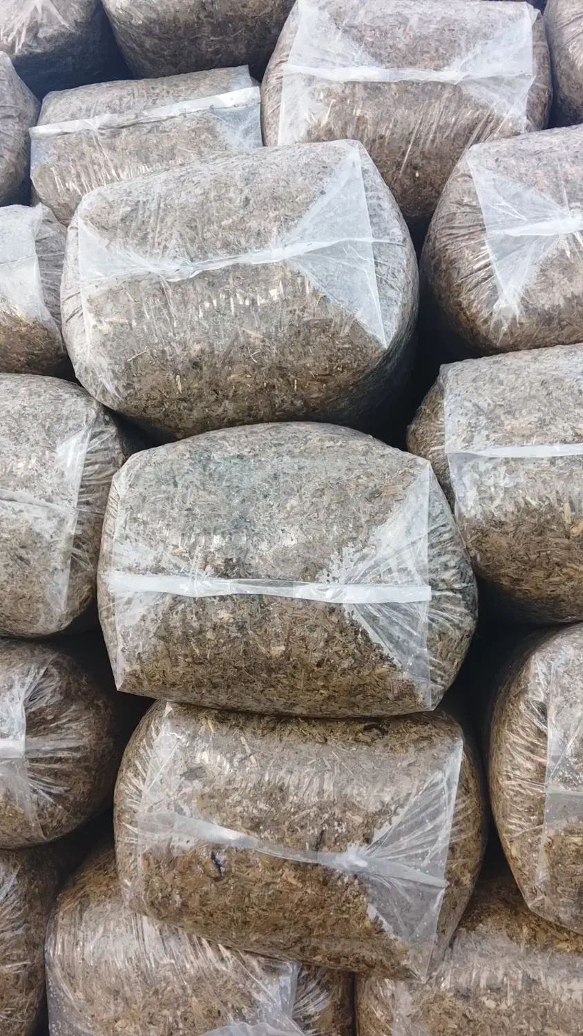 فروش علوفه ذرت|لوازم جانبی حیوانات|محمدبار, |دیوار