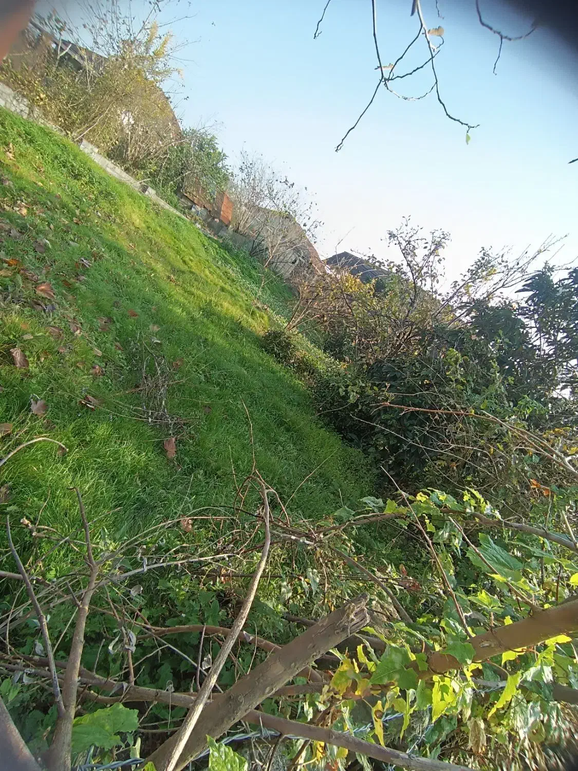 زمین مسکونی ۳۰۰ متری لاهیجان سیاهکل سند پروانه|فروش زمین و ملک کلنگی|لاهیجان, کوه بیجار|دیوار